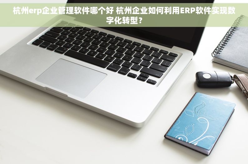 杭州erp企业管理软件哪个好 杭州企业如何利用ERP软件实现数字化转型？