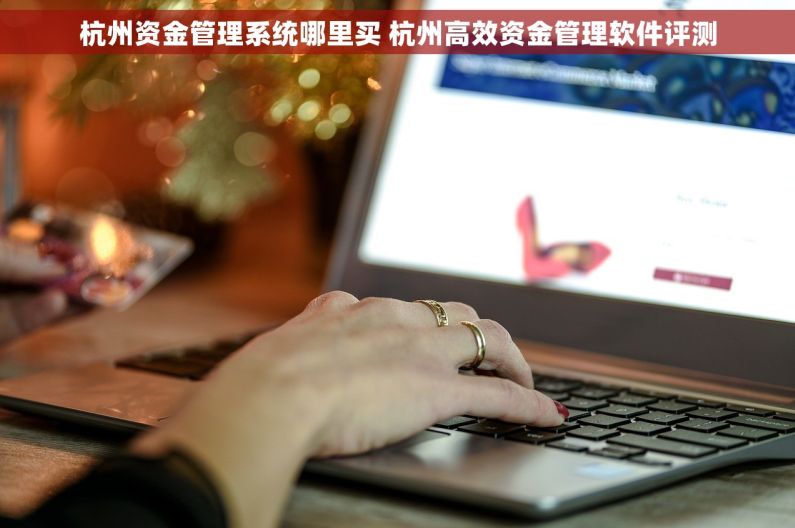 杭州资金管理系统哪里买 杭州高效资金管理软件评测