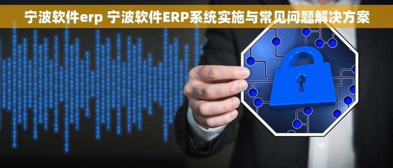 宁波软件erp 宁波软件ERP系统实施与常见问题解决方案