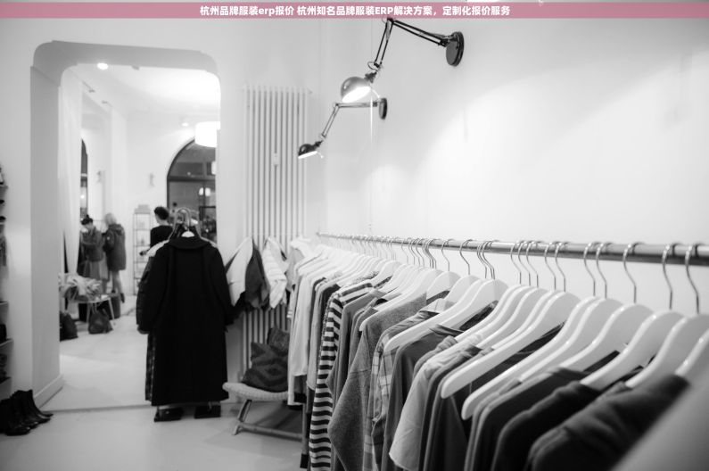 杭州品牌服装erp报价 杭州知名品牌服装ERP解决方案，定制化报价服务