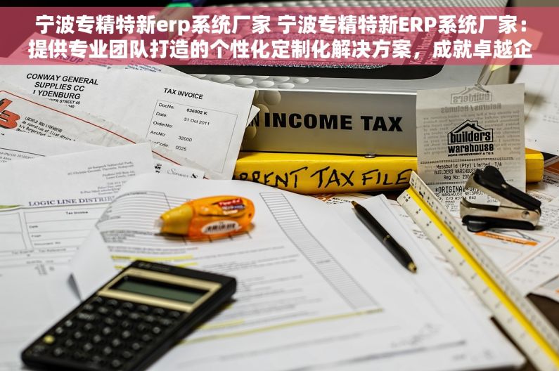 宁波专精特新erp系统厂家 宁波专精特新ERP系统厂家：提供专业团队打造的个性化定制化解决方案，成就卓越企业