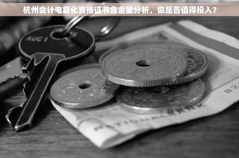 杭州会计电算化资格证书含金量分析，你是否值得投入？