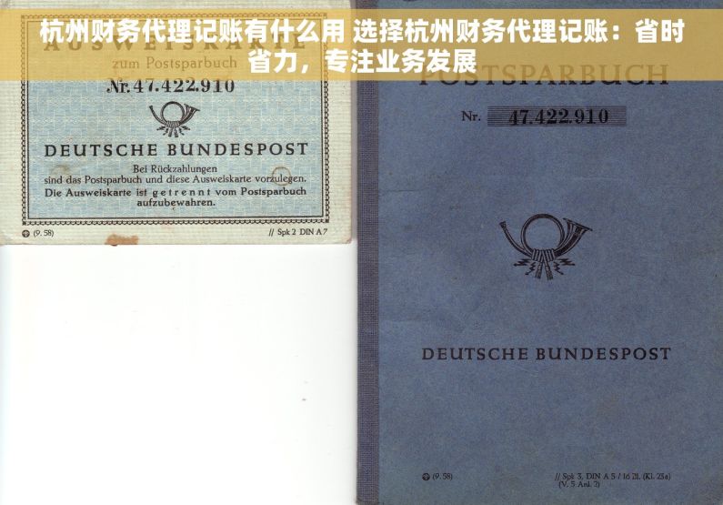 杭州财务代理记账有什么用 选择杭州财务代理记账：省时省力，专注业务发展