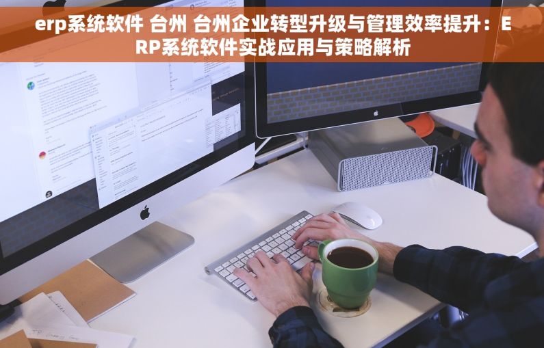 erp系统软件 台州 台州企业转型升级与管理效率提升：ERP系统软件实战应用与策略解析