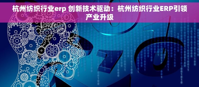杭州纺织行业erp 创新技术驱动：杭州纺织行业ERP引领产业升级