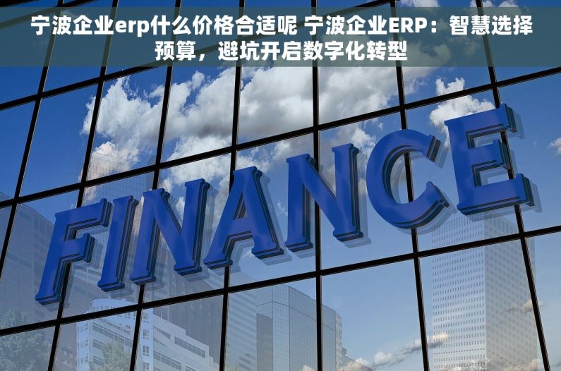 宁波企业erp什么价格合适呢 宁波企业ERP：智慧选择预算，避坑开启数字化转型