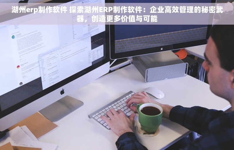 湖州erp制作软件 探索湖州ERP制作软件：企业高效管理的秘密武器，创造更多价值与可能