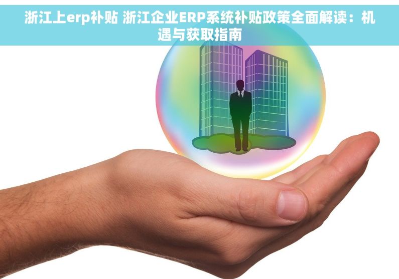 浙江上erp补贴 浙江企业ERP系统补贴政策全面解读：机遇与获取指南