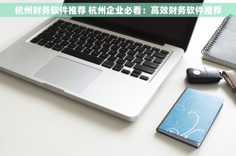 杭州财务软件推荐 杭州企业必看：高效财务软件推荐