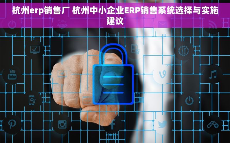 杭州erp销售厂 杭州中小企业ERP销售系统选择与实施建议