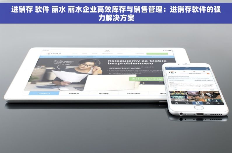 进销存 软件 丽水 丽水企业高效库存与销售管理：进销存软件的强力解决方案