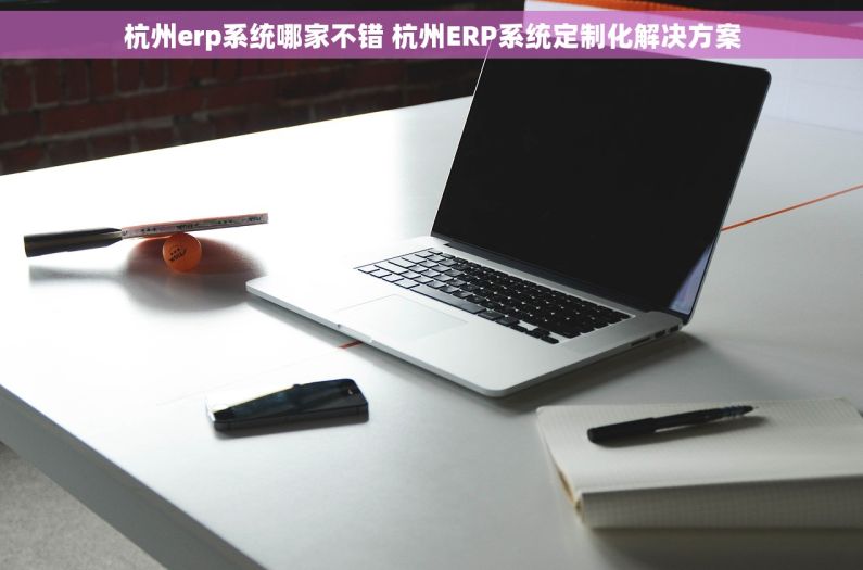 杭州erp系统哪家不错 杭州ERP系统定制化解决方案