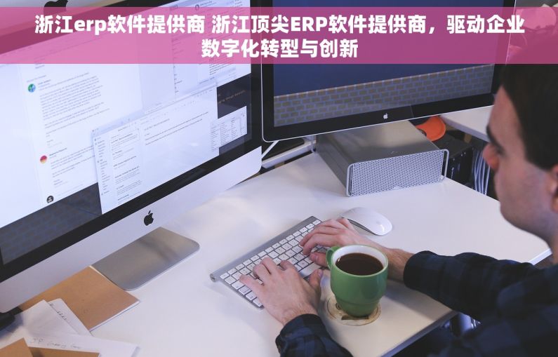 浙江erp软件提供商 浙江顶尖ERP软件提供商，驱动企业数字化转型与创新