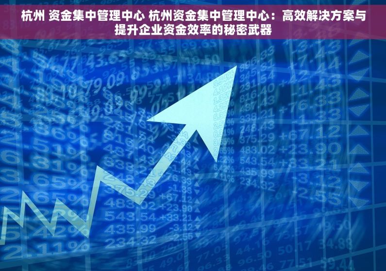 杭州 资金集中管理中心 杭州资金集中管理中心：高效解决方案与提升企业资金效率的秘密武器