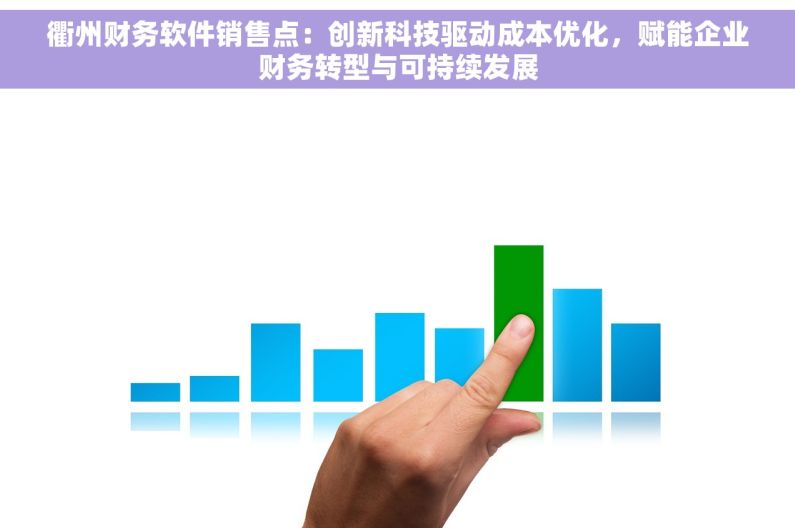 衢州财务软件销售点：创新科技驱动成本优化，赋能企业财务转型与可持续发展