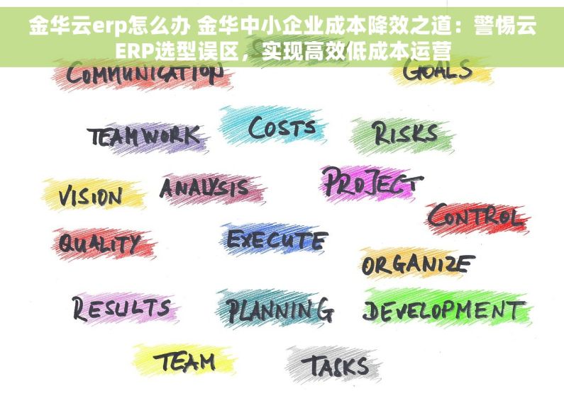 金华云erp怎么办 金华中小企业成本降效之道：警惕云ERP选型误区，实现高效低成本运营