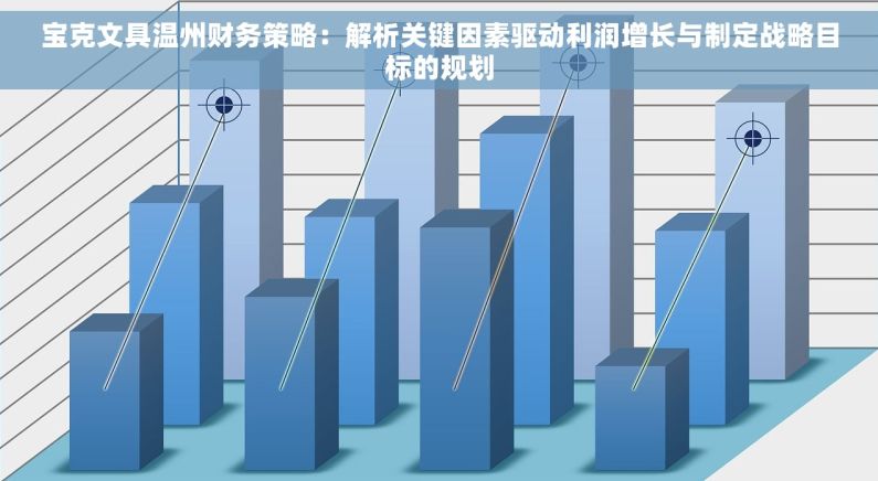 宝克文具温州财务策略：解析关键因素驱动利润增长与制定战略目标的规划