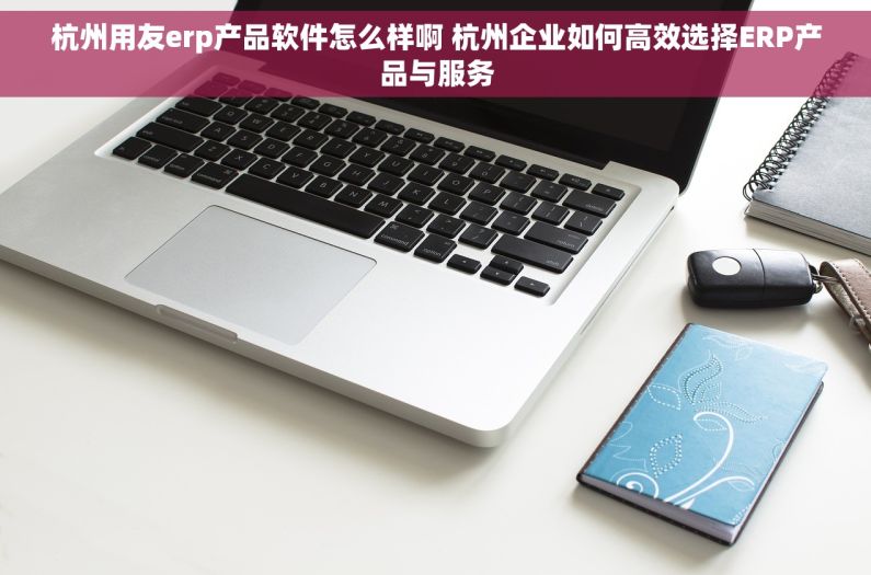 杭州用友erp产品软件怎么样啊 杭州企业如何高效选择ERP产品与服务