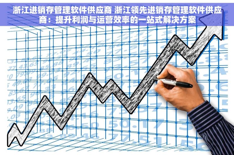 浙江进销存管理软件供应商 浙江领先进销存管理软件供应商：提升利润与运营效率的一站式解决方案