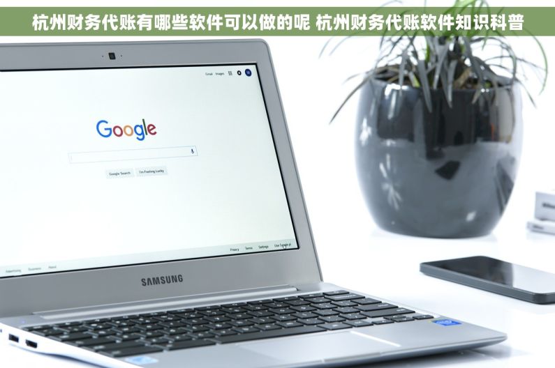 杭州财务代账有哪些软件可以做的呢 杭州财务代账软件知识科普