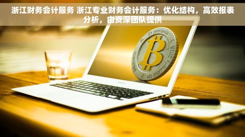 浙江财务会计服务 浙江专业财务会计服务：优化结构，高效报表分析，由资深团队提供