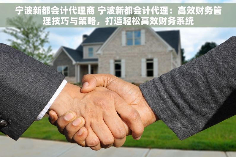 宁波新都会计代理商 宁波新都会计代理：高效财务管理技巧与策略，打造轻松高效财务系统