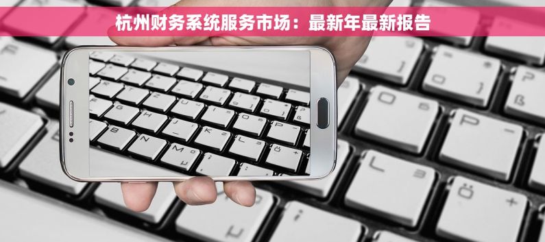 杭州财务系统服务市场：最新年最新报告