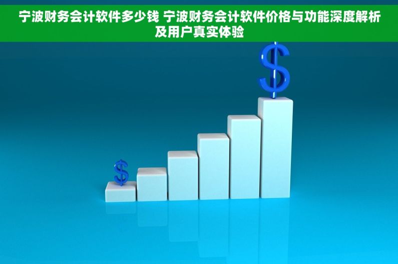 宁波财务会计软件多少钱 宁波财务会计软件价格与功能深度解析及用户真实体验