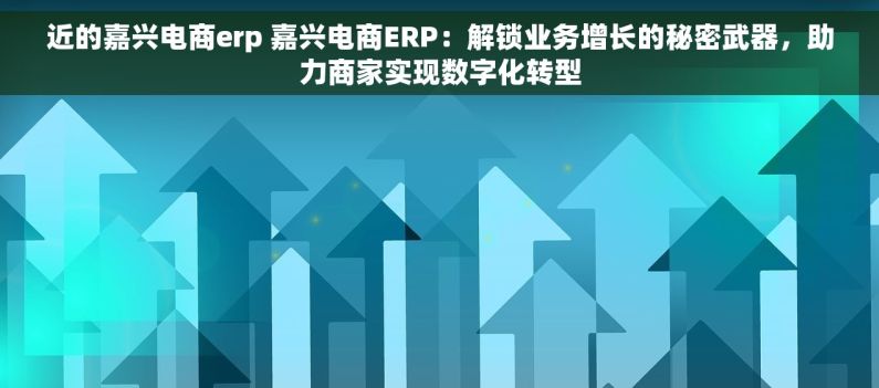 近的嘉兴电商erp 嘉兴电商ERP：解锁业务增长的秘密武器，助力商家实现数字化转型