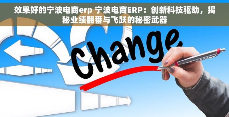 效果好的宁波电商erp 宁波电商ERP：创新科技驱动，揭秘业绩翻番与飞跃的秘密武器