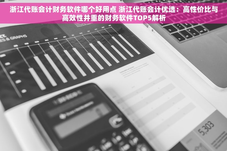 浙江代账会计财务软件哪个好用点 浙江代账会计优选：高性价比与高效性并重的财务软件TOP5解析