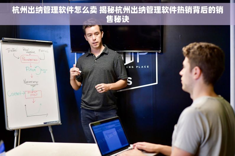 杭州出纳管理软件怎么卖 揭秘杭州出纳管理软件热销背后的销售秘诀