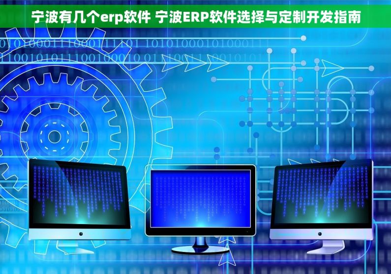 宁波有几个erp软件 宁波ERP软件选择与定制开发指南