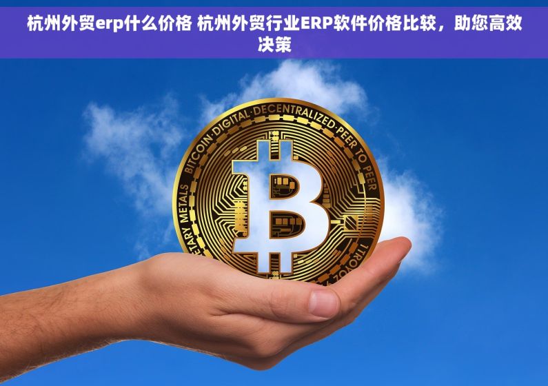 杭州外贸erp什么价格 杭州外贸行业ERP软件价格比较，助您高效决策