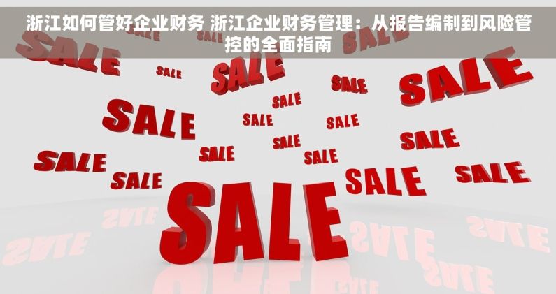 浙江如何管好企业财务 浙江企业财务管理：从报告编制到风险管控的全面指南