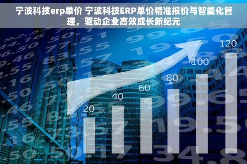 宁波科技erp单价 宁波科技ERP单价精准报价与智能化管理，驱动企业高效成长新纪元