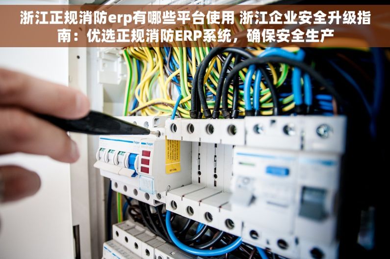 浙江正规消防erp有哪些平台使用 浙江企业安全升级指南：优选正规消防ERP系统，确保安全生产