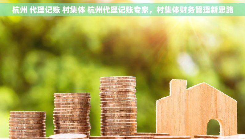 杭州 代理记账 村集体 杭州代理记账专家，村集体财务管理新思路