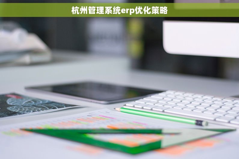 杭州管理系统erp优化策略