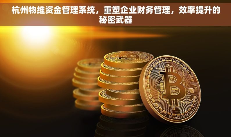 杭州物维资金管理系统，重塑企业财务管理，效率提升的秘密武器