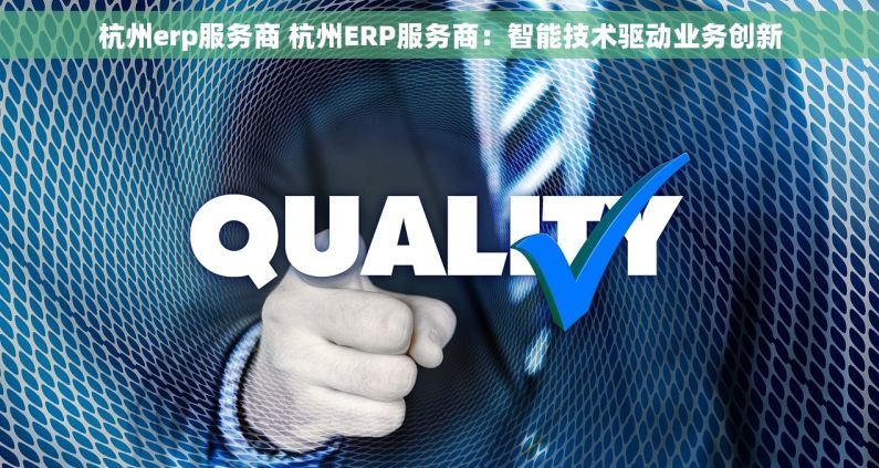 杭州erp服务商 杭州ERP服务商：智能技术驱动业务创新