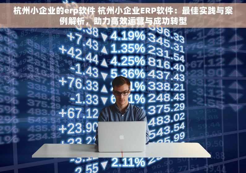 杭州小企业的erp软件 杭州小企业ERP软件：最佳实践与案例解析，助力高效运营与成功转型
