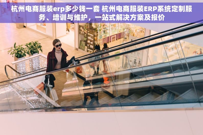 杭州电商服装erp多少钱一套 杭州电商服装ERP系统定制服务、培训与维护，一站式解决方案及报价