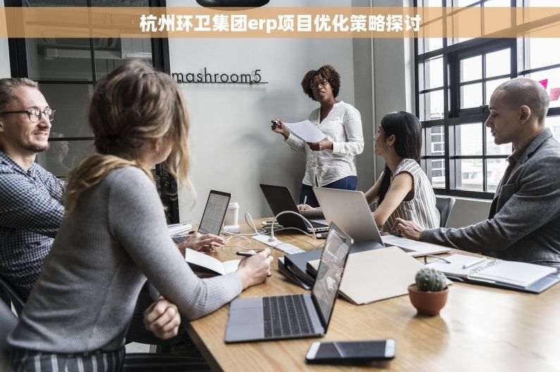 杭州环卫集团erp项目优化策略探讨