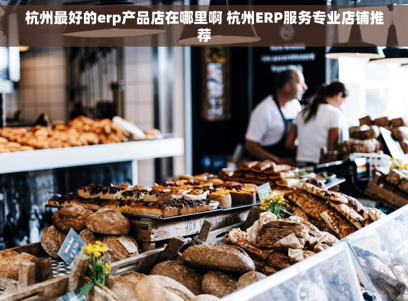 杭州最好的erp产品店在哪里啊 杭州ERP服务专业店铺推荐
