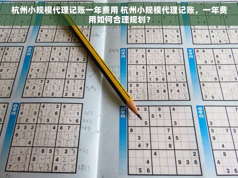 杭州小规模代理记账一年费用 杭州小规模代理记账，一年费用如何合理规划？