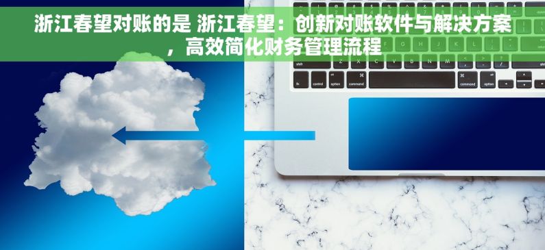 浙江春望对账的是 浙江春望：创新对账软件与解决方案，高效简化财务管理流程
