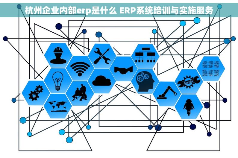 杭州企业内部erp是什么 ERP系统培训与实施服务