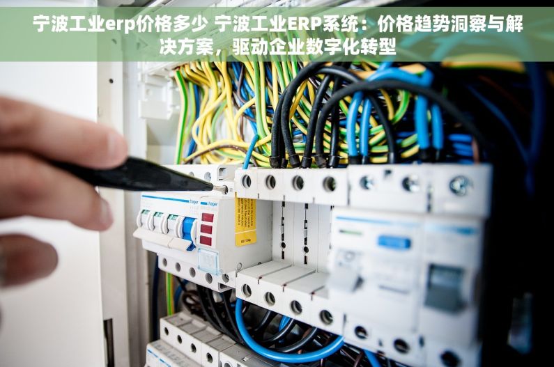 宁波工业erp价格多少 宁波工业ERP系统：价格趋势洞察与解决方案，驱动企业数字化转型