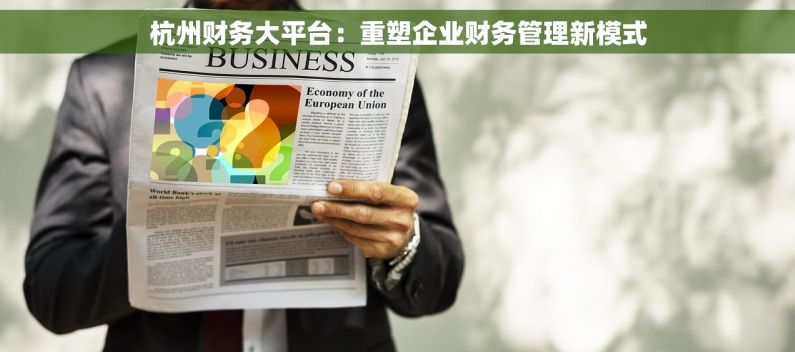 杭州财务大平台：重塑企业财务管理新模式